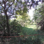 Terreno à venda em Chácaras do Guacuri, Itupeva, SP