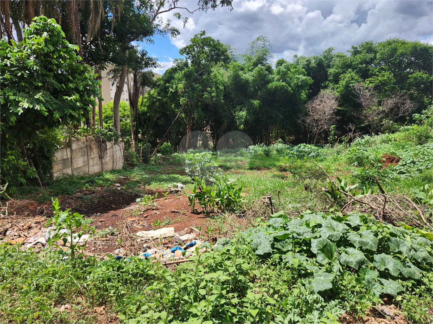 Terreno à venda em Jardim do Carmo, Araraquara, SP