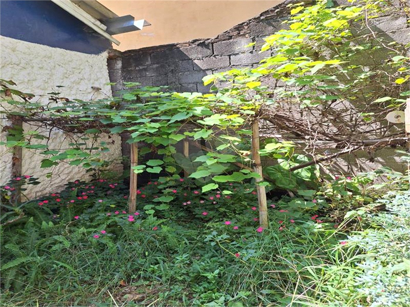 Casa à venda com 3 quartos em Perdizes, São Paulo, SP