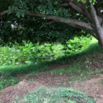Terreno à venda em Imirim, São Paulo, SP