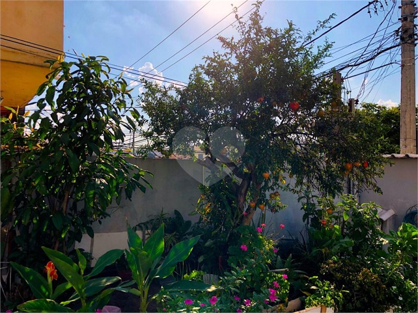 Casa Térrea à venda com 4 quartos em Jardim Santa Lúcia, Campinas, SP