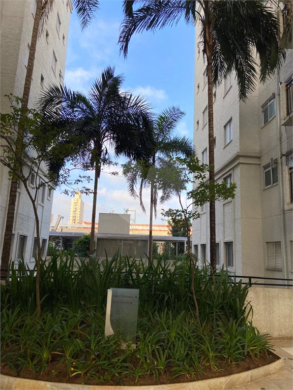 Apartamento à venda com 2 quartos em Campo Belo, São Paulo, SP