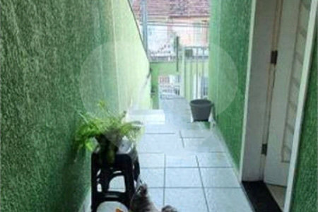 Sobrado à venda com 3 quartos, sendo 1 suíte,  em Vila Mazzei, São Paulo, SP