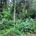 Terreno à venda no condomínio Sausalito, Mairiporã - SP