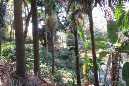 Terreno à venda em Chácara Flora, São Paulo, SP
