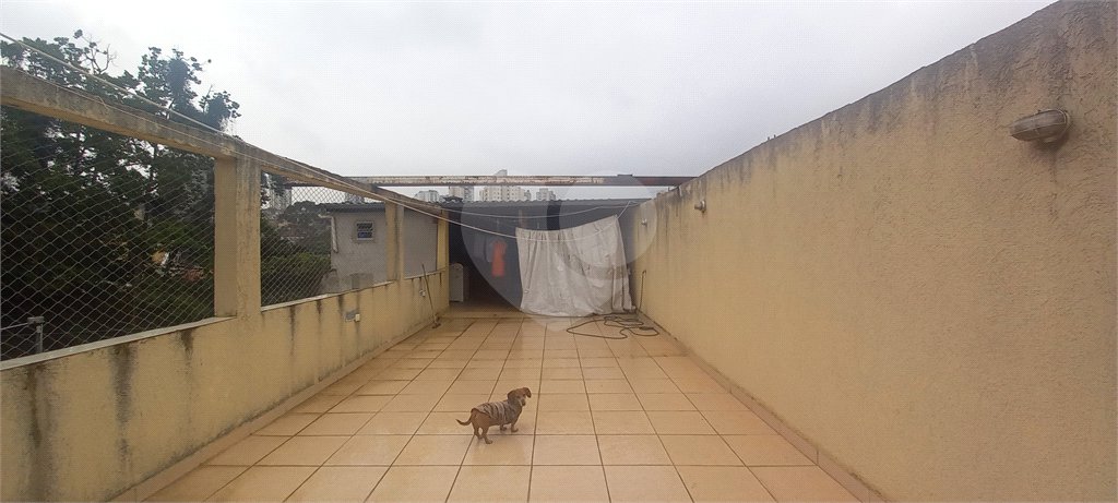 Casa à venda com 3 quartos em Santa Teresinha, São Paulo, SP