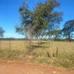 Terreno à venda em Jardim Residencial Iedda, Araraquara, SP