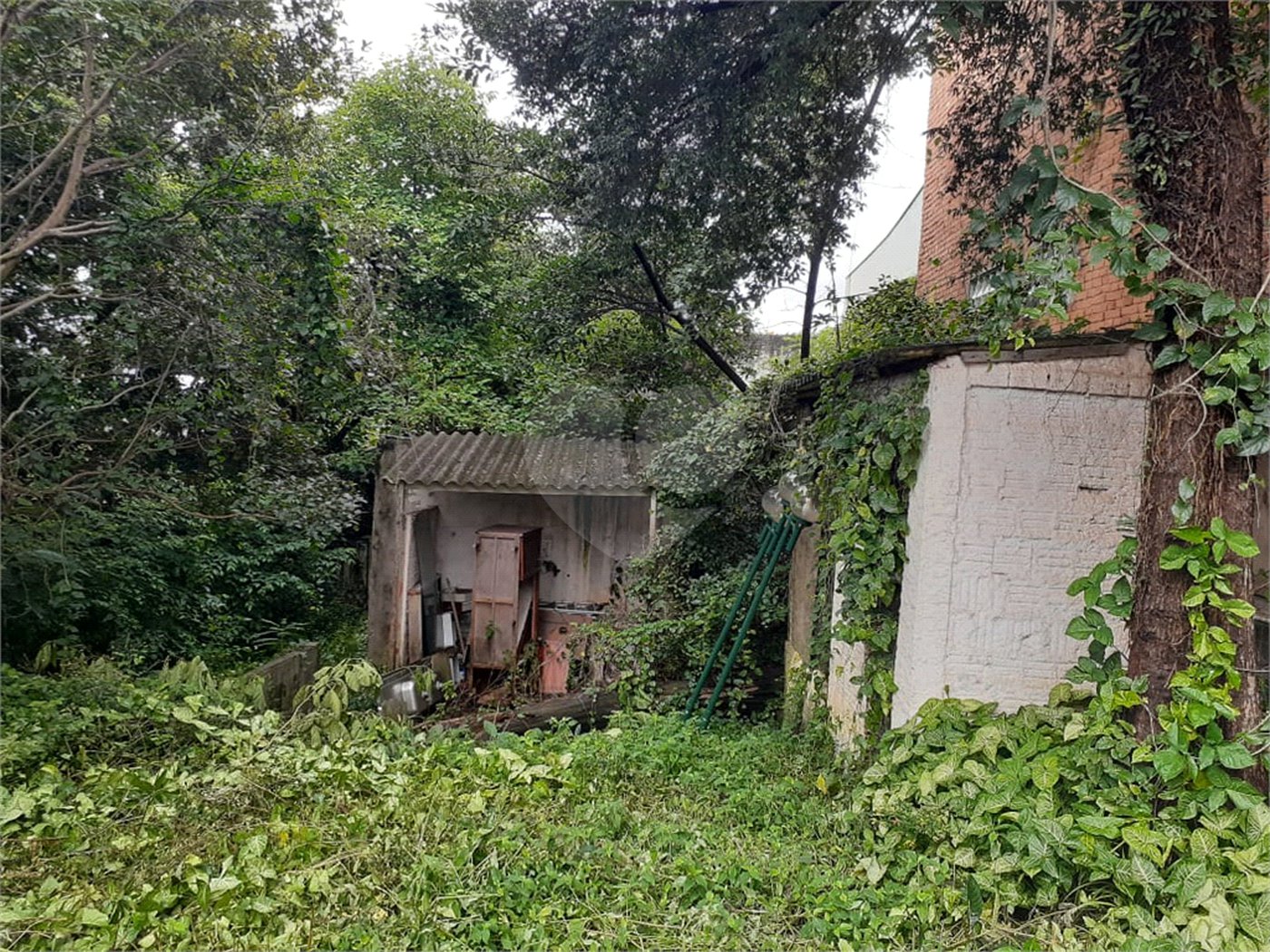 Terreno à venda em Vila Mazzei, São Paulo, SP