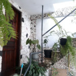 Casa Térrea à venda com 3 quartos em Tucuruvi, São Paulo, SP