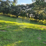 Terreno à venda no condomínio Vivenda do Lago, Sorocaba - SP