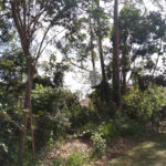 Terreno à venda no condomínio Suíça da Cantareira, Mairiporã - SP