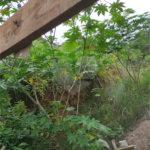 Terreno à venda em Chora Menino, São Paulo, SP
