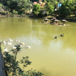 Terreno à venda no condomínio Parque Imperial da Cantareira, Mairiporã - SP