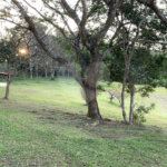 Chácara à venda com 5 quartos em Volta Grande (são João Novo), São Roque, SP