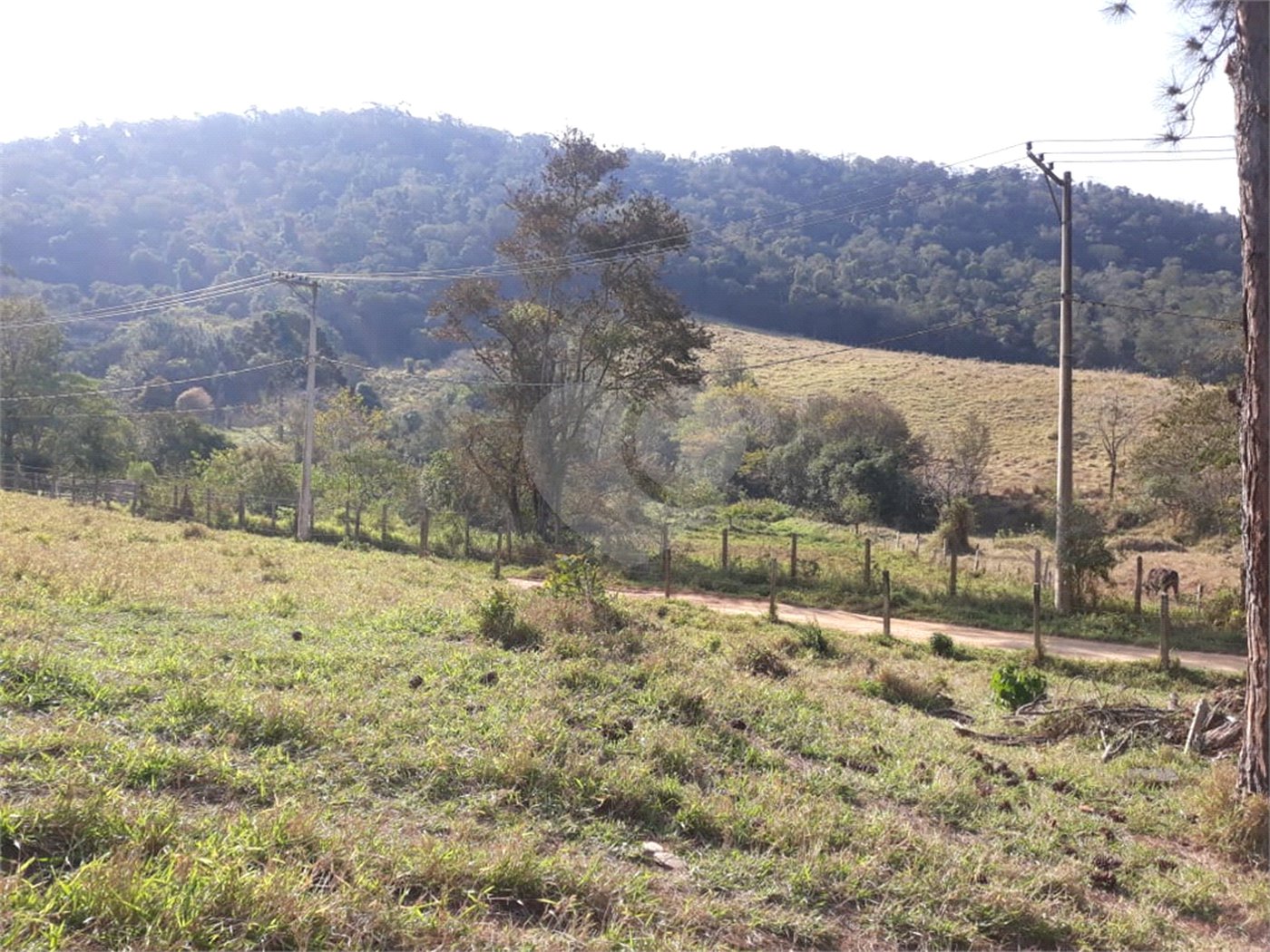 Sítio à venda com 3 quartos em Bairro do Cambará, São Roque, SP