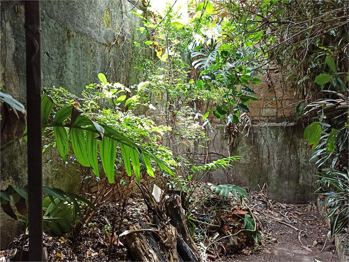 Casa à venda com 3 quartos em Vila Romero, São Paulo, SP