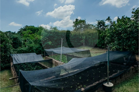 Casa à venda com 4 suítes no condomínio Monte Belo, Salto - SP