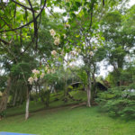 Casa à venda com 2 quartos no condomínio Céu Azul, Mairiporã - SP