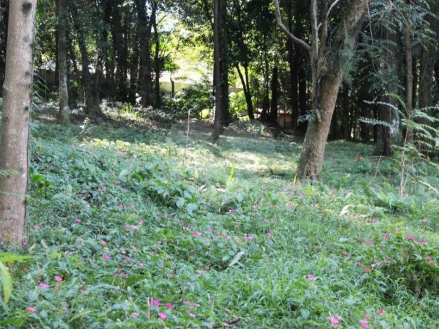 Terreno à venda no condomínio Chácara Flora, São Paulo - SP