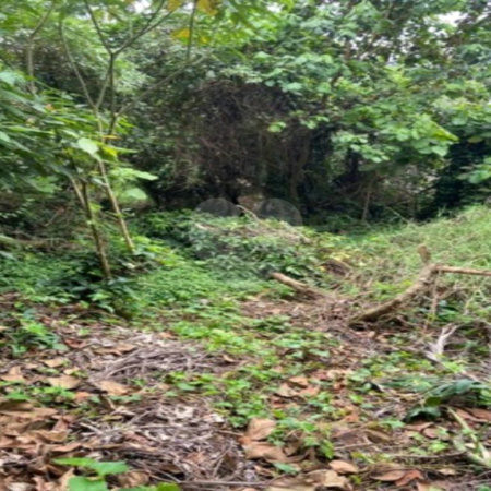 Terreno à venda em Jardim Leonor, São Paulo, SP