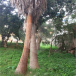 Terreno à venda com 3 quartos, sendo 1 suíte, em Imirim, São Paulo, SP
