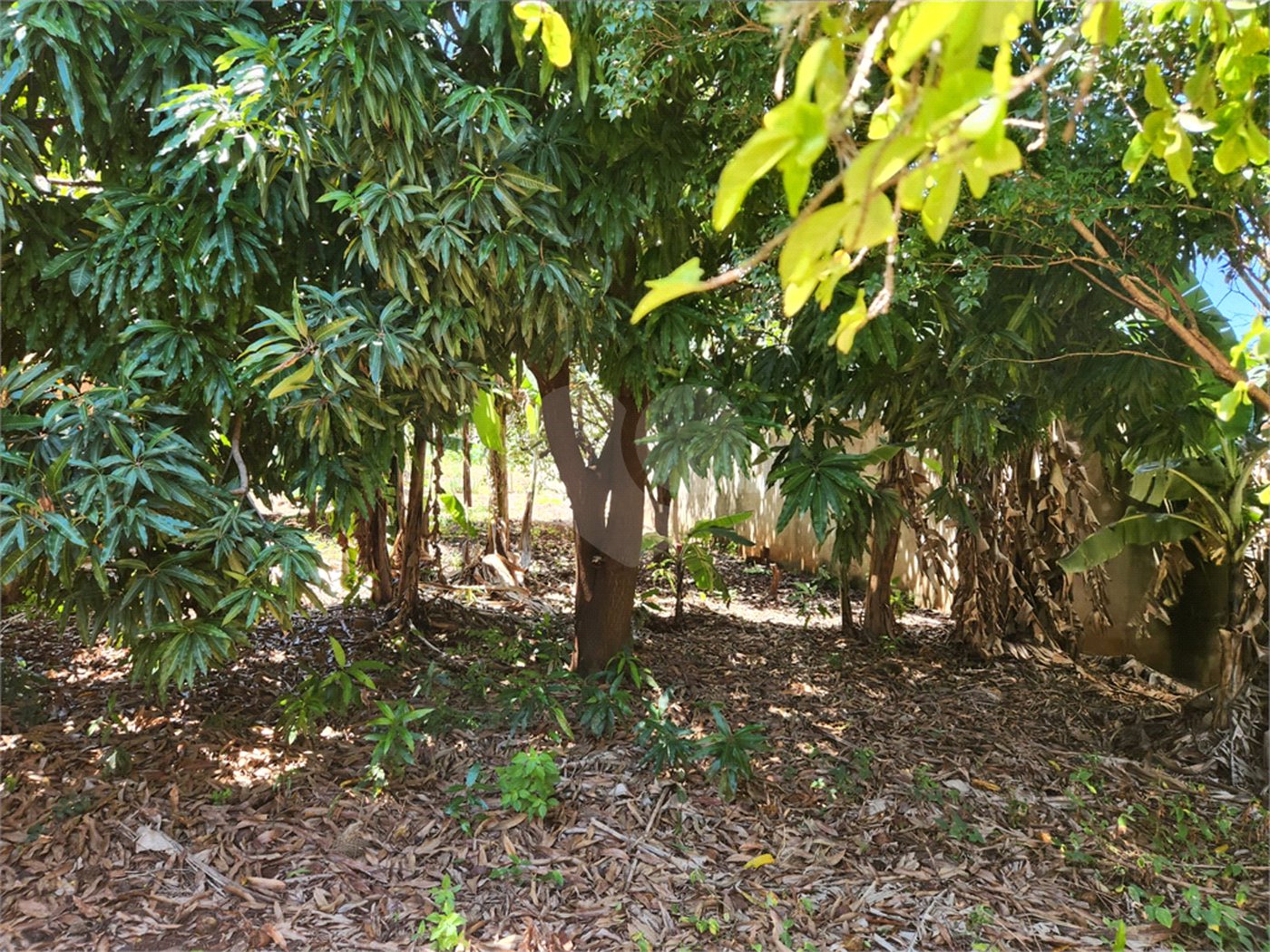 Terreno à venda em Vila Harmonia, Araraquara, SP