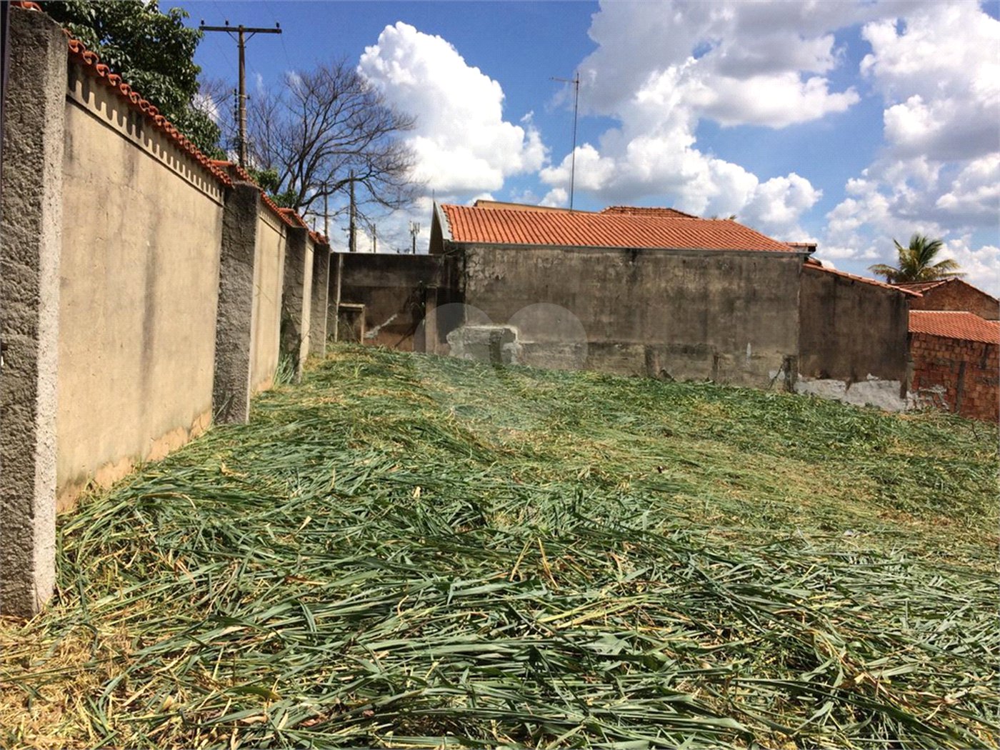 Terreno à venda em Jardim Novo Campos Elíseos, Campinas, SP