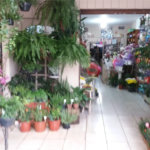 Loja à venda com 3 quartos em Vila Albertina, São Paulo, SP
