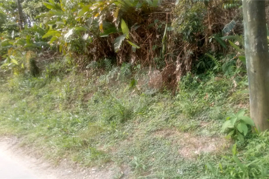 Terreno à venda em Caraguatá, Mairiporã, SP