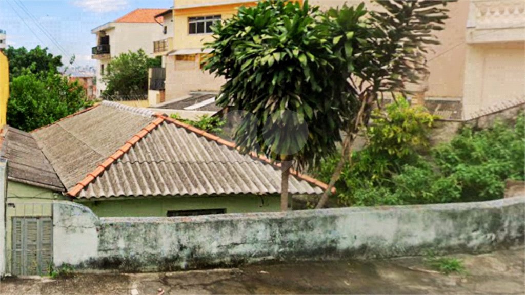 Terreno à venda em Vila Maria Alta, São Paulo, SP