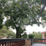 Sobrado à venda com 3 quartos em Vila Guarani, Santo André, SP