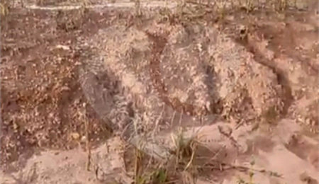 Terreno à venda no condomínio Mosaico Horizontes, Mogi das Cruzes - SP