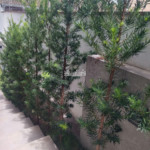Sobrado à venda ou para alugar com 3 suítes em Jardim do Lago, Atibaia, SP