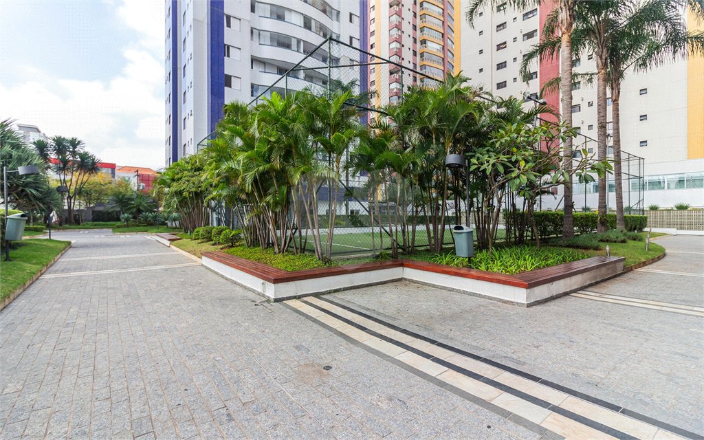 Apartamento à venda com 3 quartos, sendo 1 suíte, em Cambuci, São Paulo, SP