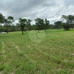 Loteamento Residencial no Condomínio Vila Pinhal do Broa