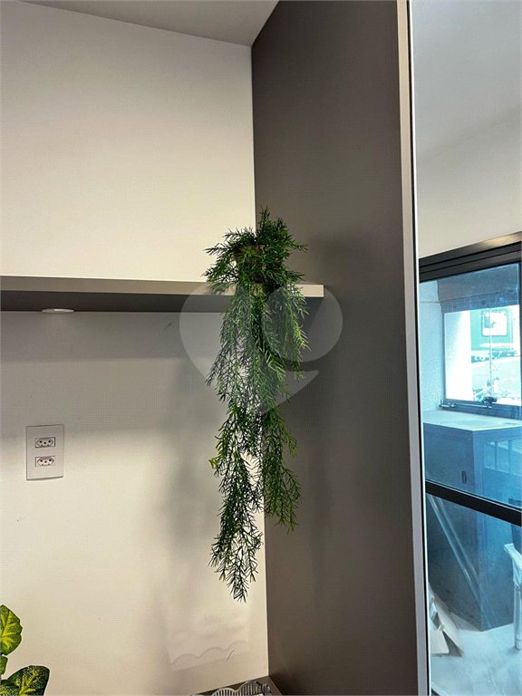 Apartamento à venda em Tucuruvi, São Paulo, SP