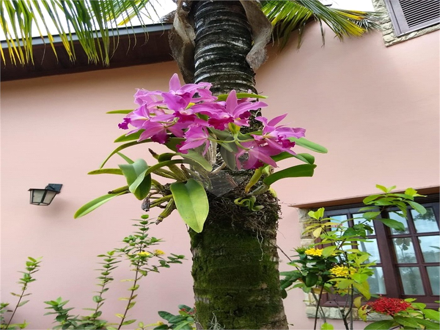 Chácara à venda com 4 suítes em Vale das Laranjeiras, Indaiatuba, SP