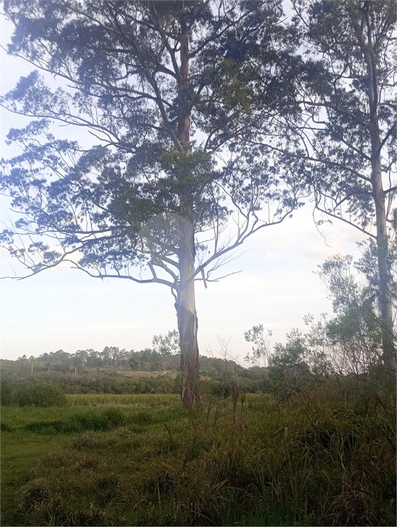 Terreno à venda em Jardim Camargo (canguera), São Roque, SP