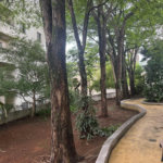 Apartamento para alugar com 3 quartos em Jardim Esmeralda, São Paulo, SP