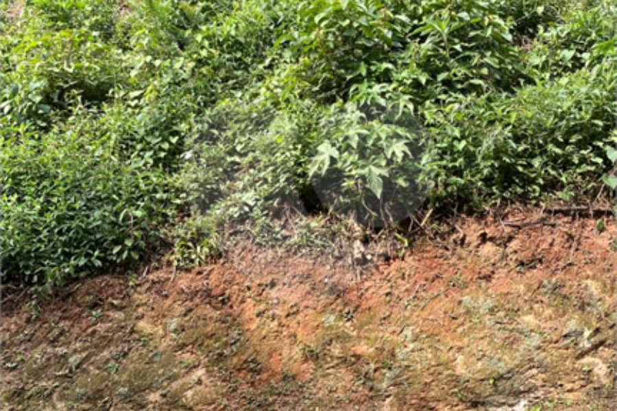 Terreno à venda no condomínio Parque Imperial da Cantareira, Mairiporã - SP
