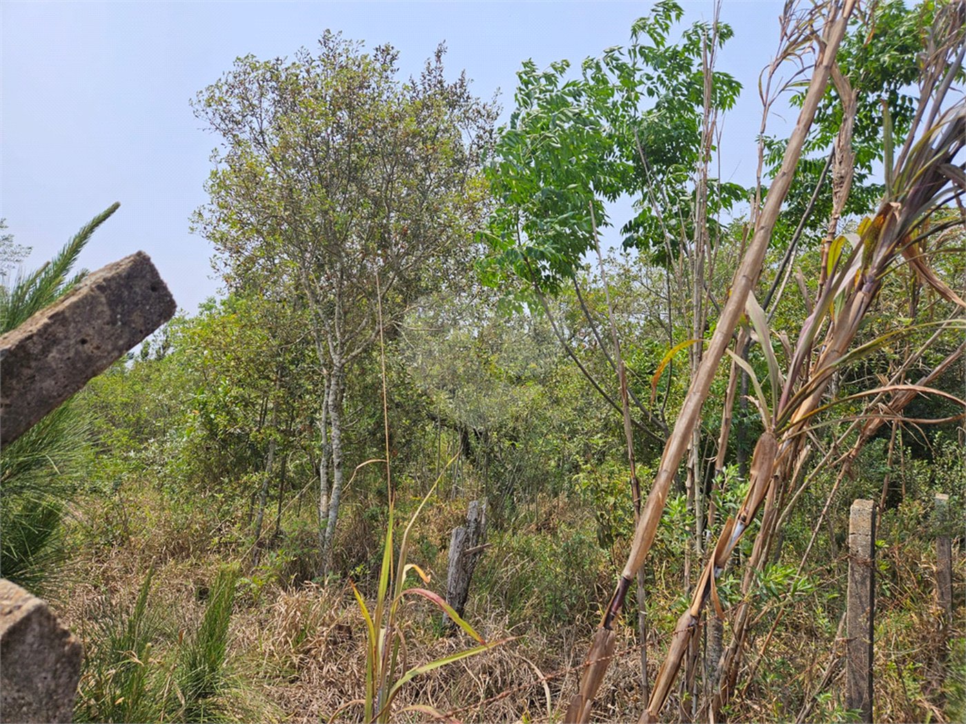 Terreno à venda em Curral, Ibiúna, SP