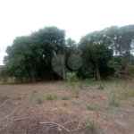 Chácara à venda com 3 quartos em Vila Belo Horizonte, Itapetininga, SP