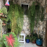 Sobrado à venda com 3 quartos, sendo 1 suíte, em Vila Gustavo, São Paulo, SP