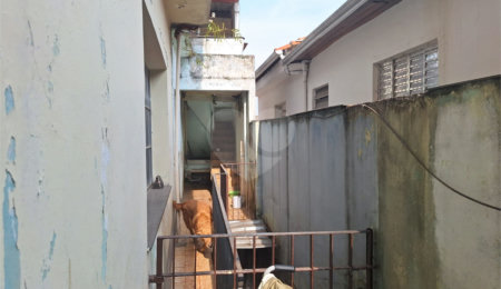 Casa à venda com 3 quartos em Vila Maria Alta, São Paulo, SP