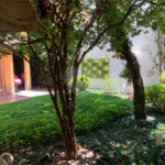 Casa á venda - Jabaquara