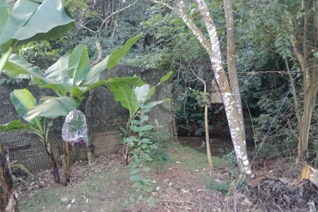Chácara à venda com 5 quartos, sendo 1 suíte, em Jardim Marabá, Itapetininga, SP