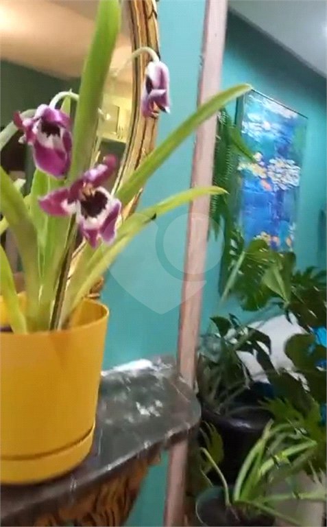 Apartamento à venda com 3 quartos, sendo 1 suíte, em Vila Medeiros, São Paulo, SP