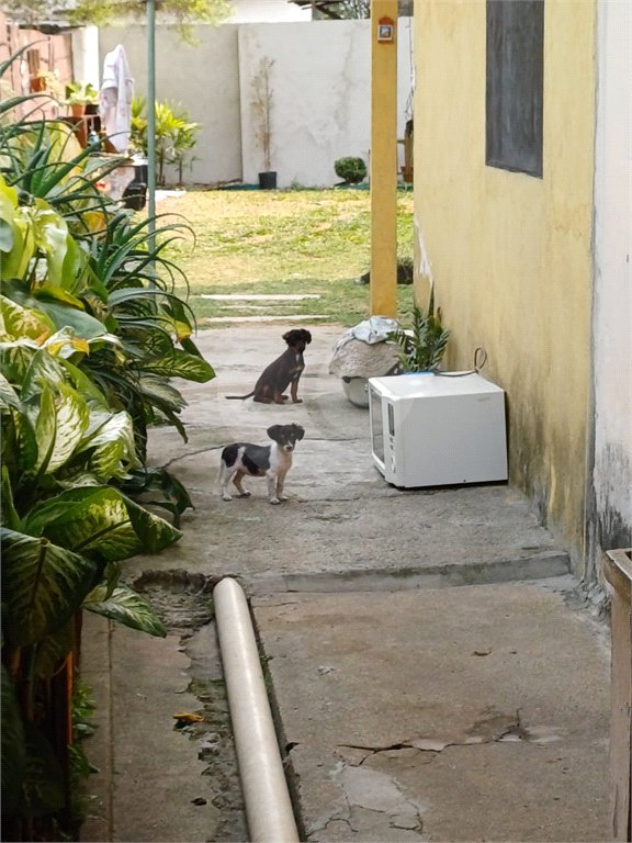 Casa à venda com 2 quartos em Vila Bernadotti, Mogi das Cruzes, SP