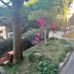 Casa à venda com 4 quartos em Pirituba, São Paulo, SP