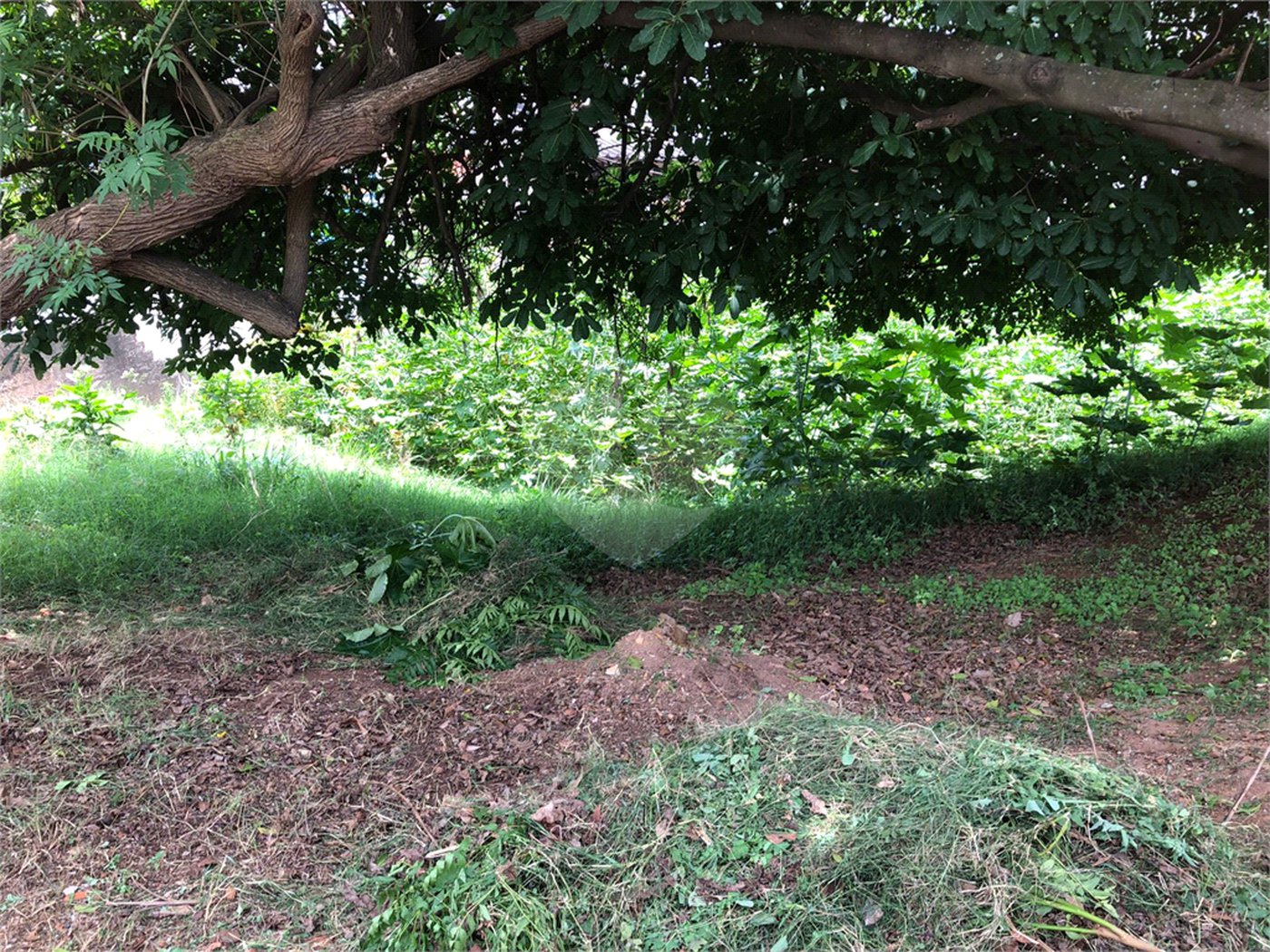 Terreno à venda em Imirim, São Paulo, SP
